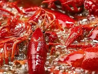 麻辣小龍蝦調(diào)料包